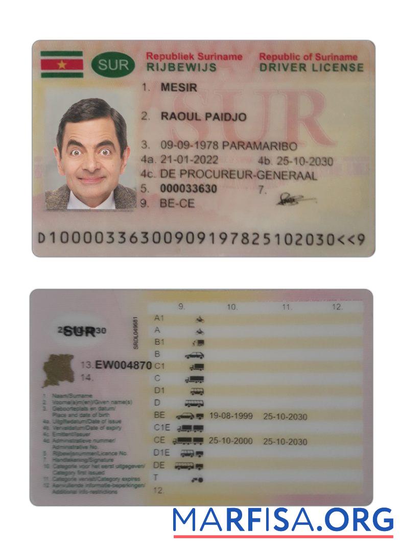 Blank Suriname driving license 2022 present example